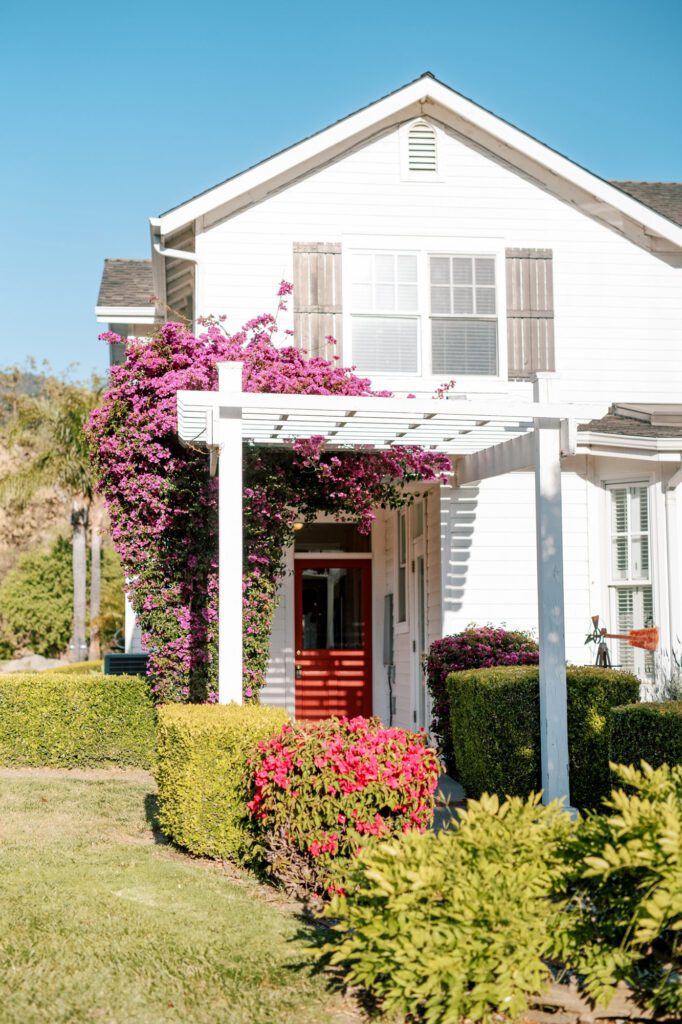 Back door of Higuera Ranch airbnb luxury house rental surrounded by the san luis obispo hills, two minutes from downtown SLO