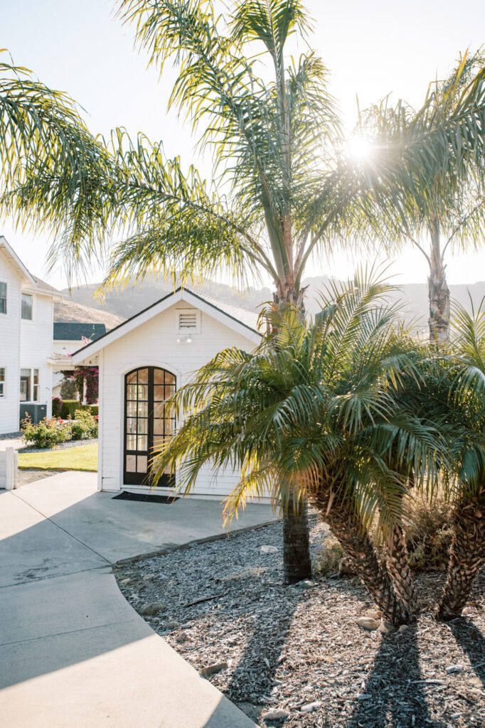 Pool house with magical palm trees at Higuera Ranch airbnb luxury house rental surrounded by the san luis obispo hills, two minutes from downtown SLO