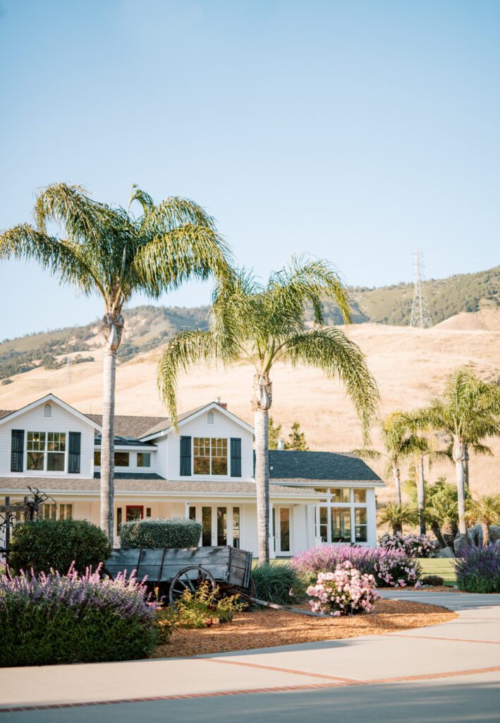 View of massive palm trees and center garden at main house at Higuera Ranch airbnb luxury house rental surrounded by the san luis obispo hills, two minutes from downtown SLO